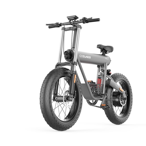 Coswheel Electric Bike